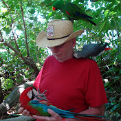 Profile Picture of Brett Chapman (@bchappy100) on Youtube