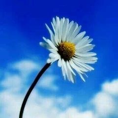 Profile Picture of jinyoungcheon (@jinyoungcheon) on Tiktok