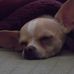 Profile Picture of Joann Batchelor (@joann.batchelor.94) on Facebook