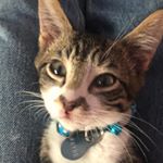 Profile Picture of Lil Wayne Newton (@lil.wayne.newton) on Instagram