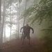 Profile Picture of Christof Schulze Ameling (@christofschulzeameling) on Pinterest