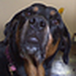 Profile Picture of Michael Portillo (@mikeportillo) on Flickr