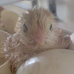 Profile Picture of Debra Terpstra (@debraterpstra) on Instagram