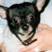 Profile Picture of Marsha Ashbaugh (@marshector) on Pinterest
