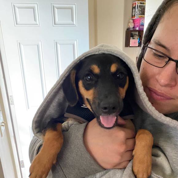 Profile Picture of Vanessa Wachenfeld (@vcwackenfeld) on Poshmark