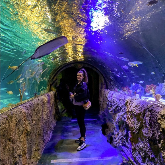 Profile Picture of Edona Zekaj (@edonaz) on Poshmark