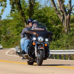 Profile Picture of Robert Basile (@bigbobbossman) on Tiktok