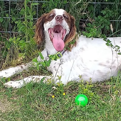 Profile Picture of John Sawyer (@johnsawyer3) on Twitter