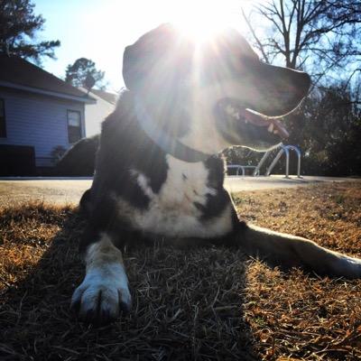 Profile Picture of Scott Fears (@scofe75) on Twitter