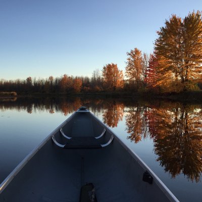 Profile Picture of Dave McKeever (@dmck68) on Twitter