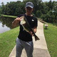 Profile Picture of Wei Wei Zhuo (@weiweizhuo) on Pinterest