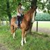 Profile Picture of Deirdre Singleton (@deirdre.singleton.5) on Facebook