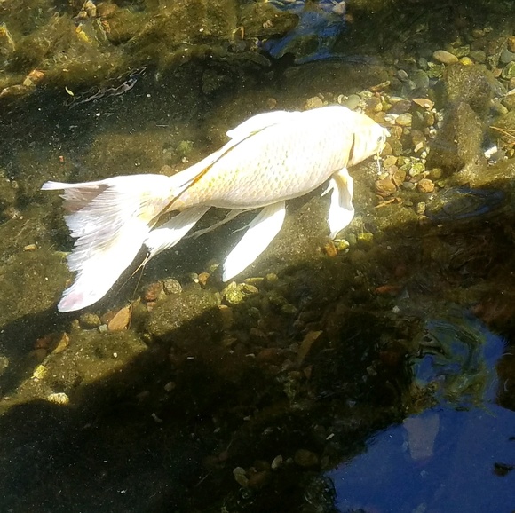 Michael Hoyos - Poshmark Profile Picture of Michael Hoyos (@hmike) on Poshmark