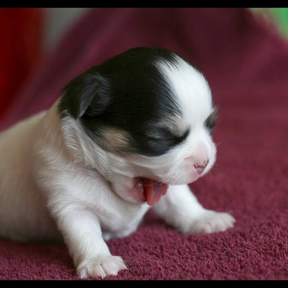 Profile Picture of Sky Johnson (@skytime14) on Poshmark