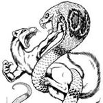 Profile Picture of Sam Hilburn (@hilburn_sam) on Instagram