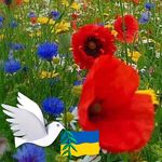 Profile Picture of Catherine Lequier (@lequier_catherine) on Instagram