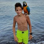 Profile Picture of Marko Kovačević (@kovacevic_06____) on Instagram