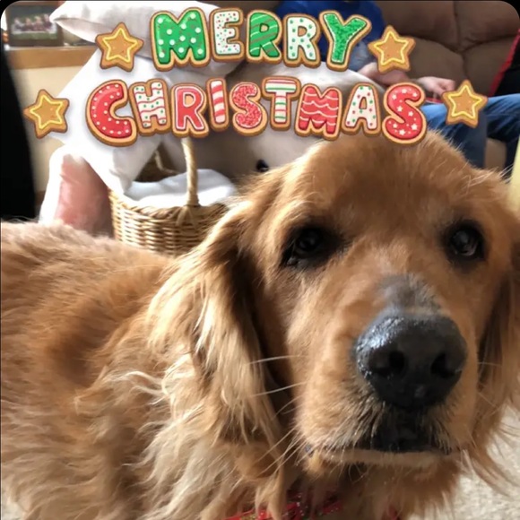 Profile Picture of Mike Majerus (@moonman013) on Poshmark