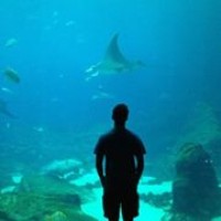 Profile Picture of Greg Bowen (@greg-bowen-1) on Quora