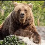 Profile Picture of Eric Wilmotte (@Eric-Wilmotte) on Facebook