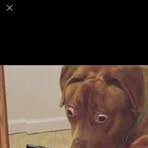 Profile Picture of Chad Yeager (@Chad-Yeager) on Facebook