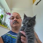 Profile Picture of Eric Mullot (@emullot) on Instagram