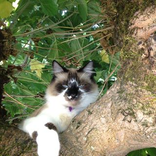 Profile Picture of Brandon Gorup (@brandon.gorup) on Facebook