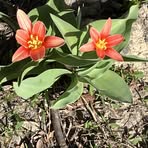 Profile Picture of Alice Donnell (@alice.donnell.94214) on Facebook