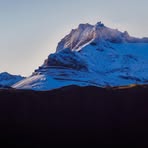 Profile Picture of Carlos Donaire (@la.carol.bella) on Facebook