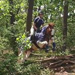Profile Picture of jo-Ann Martens (@joannmartens2005) on Instagram