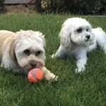 Profile Picture of Nathaniel Ayala (@nat8dogg101) on Instagram