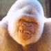 Profile Picture of Michael McHatton (@michael.mchatton.5) on Facebook