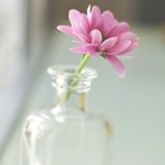 Profile Picture of 𝒦𝒾𝓃𝒹𝑒𝓇𝓌𝓊𝓃𝓈𝒸𝒽 𝐵𝓁𝑜𝑔 (@maybeebel_official) on Instagram