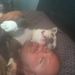 Profile Picture of Kyle Bynum (@bynum0581) on Pinterest