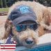 Profile Picture of Scott Kolb (@scott.kolb.12) on Facebook