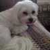 Profile Picture of Kenneth Amaral (@kenneth.amaral.98) on Facebook