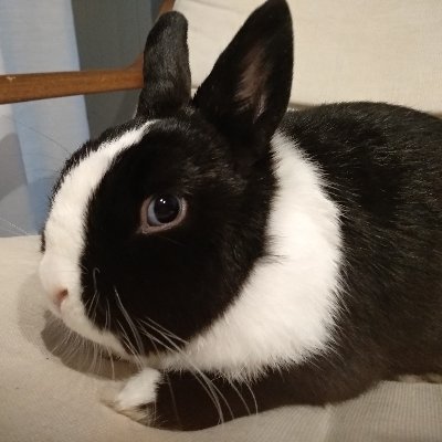 Profile Picture of Monica Hidalgo (@monicahidalgo22) on Twitter