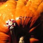Profile Picture of Tony Vanderpool (@tonyvanderpool) on Instagram