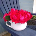 Profile Picture of Cecelia Renee Dennis (@manae2016) on Instagram
