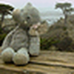 Profile Picture of Traci & Gail's Photos (@Traci & Gail's Photos) on Flickr