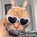 Profile Picture of Schrott Ádám (@schrottdm) on Pinterest