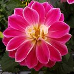 Profile Picture of Samantha (@sampuleo) on Instagram