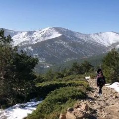 Profile Picture of SoniaAlmodovar (@almodovar_sonia) on Twitter