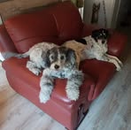 Profile Picture of Christina Steinfort (@christina.steinfort.5) on Facebook