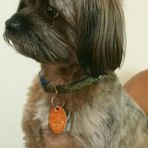 Anthony Eichelberger - Facebook Profile Picture of Anthony Eichelberger (@anthony.eichelberger.5) on Facebook