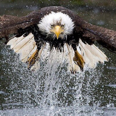 Profile Picture of Tony Mansour (@TonymansourTm) on Twitter