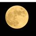 Profile Picture of Kenneth Ledger (@kenneth.ledger.58) on Facebook