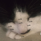 Profile Picture of Chris Macmillan (@chrismacmillan4343) on Youtube