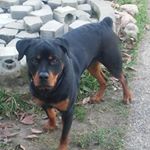 Profile Picture of Michael Stockinger (@michael.stockinger.562) on Instagram