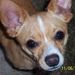 Profile Picture of Christina Spradlin (@primgal12) on Pinterest
